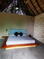 Casa A´more