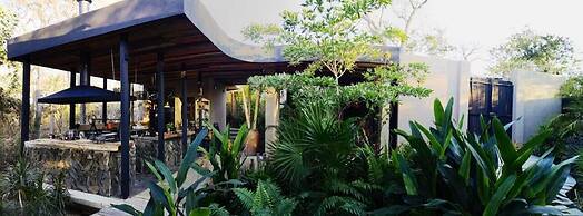 Casa A´more