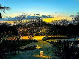 Casa A´more