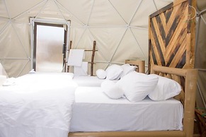 Little Amanya Camp