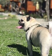 Milo Cunda