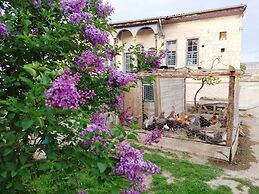 Armesos Cave Hotel