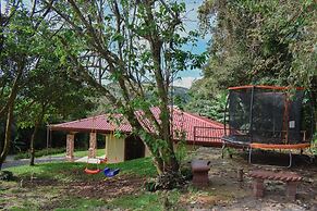 Macadamia - Monteverde