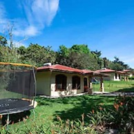 Macadamia - Monteverde