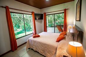 Macadamia - Monteverde