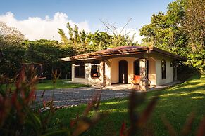 Macadamia - Monteverde