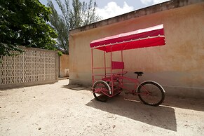 Club de Patos
