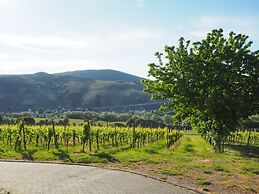 Weingut & Gästehaus Andreas Erz