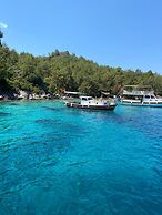 Alice Tatil Evi
