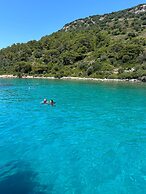 Alice Tatil Evi