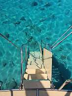 Alice Tatil Evi
