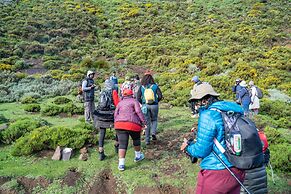 Afriski Backpackers