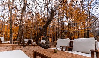 Šuma Disanje Hotel