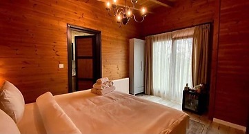 Šuma Disanje Hotel