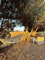 Tenedos Tatil Odaları