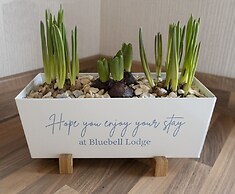 Hollicarrs - Bluebell Lodge