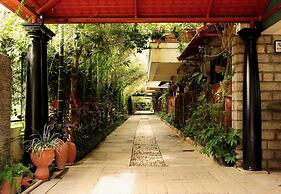 The Green Path