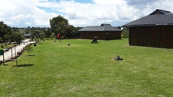 The Nelion
