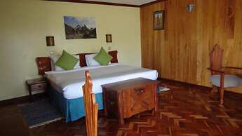 The Nelion