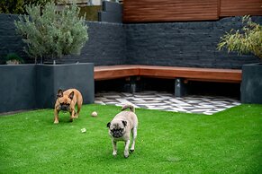 Doghouse Margate