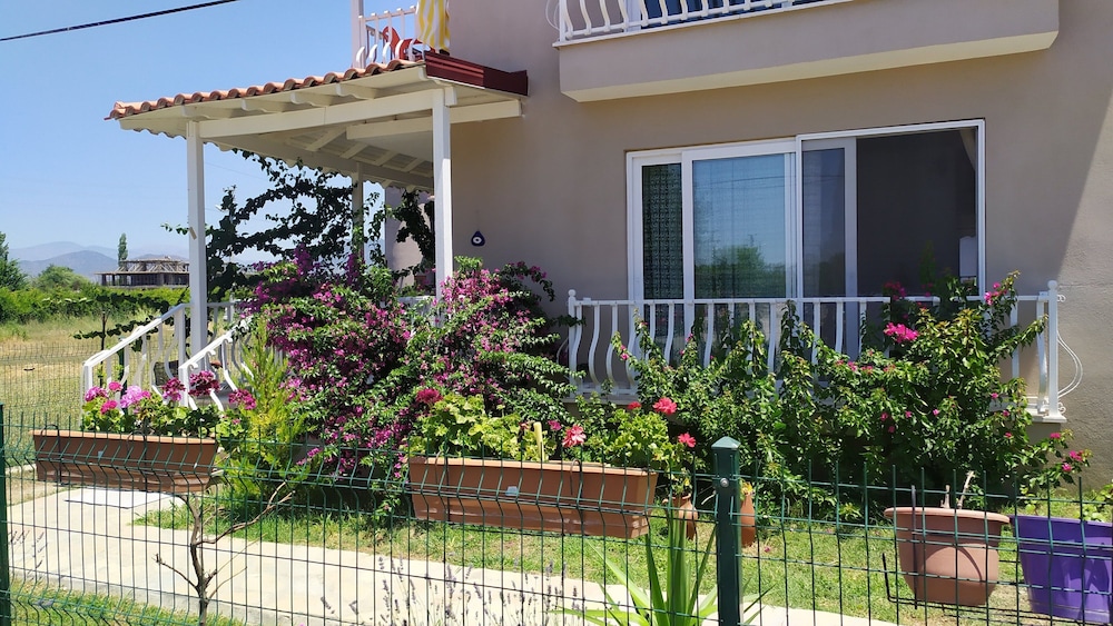 Welcome to Villa Oliva