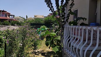 Welcome to Villa Oliva
