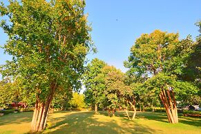 Bundela Bandhavgarh by Octave