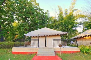 Bundela Bandhavgarh by Octave