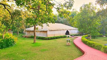 Bundela Bandhavgarh by Octave