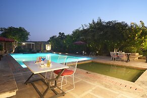 Astroport Sariska Treetop by Eight Continents