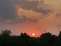 Astroport Sariska Treetop by Eight Continents