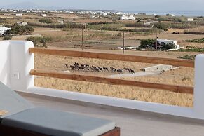 Naxos Earth Suites