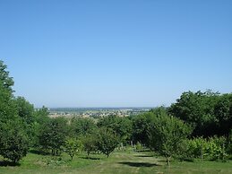 Mikin dol Baranja Country House