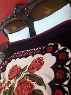 wadirum hostel