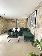 Tribu Centro Histórico