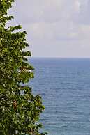 A Stone's Throw From the sea