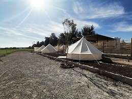 Nomada Camp