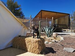 Nomada Camp