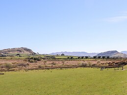 Bryn Coed