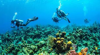Blue Roatan Resort