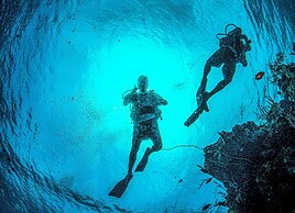 Blue Roatan Resort