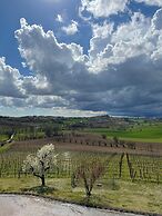 Tenuta Montemagno
