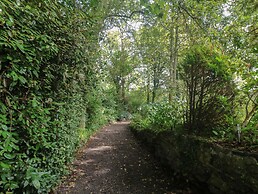 Chydour