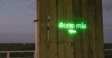 Siente Tulum Hotel & Cenote Club