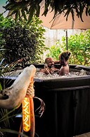 Aqua Zen Spa Lodge Tiki Hut