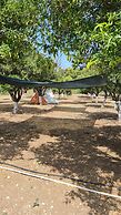 ORANGE BEACH CAMP KARAVAN CLUB