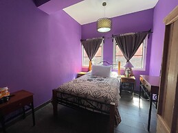 Casa Jardín Reforma
