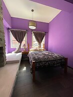 Casa Jardín Reforma