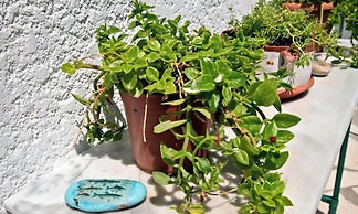 Studio With sea View, Creta, Ierapetra