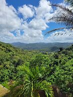 Villa Gringo Farms